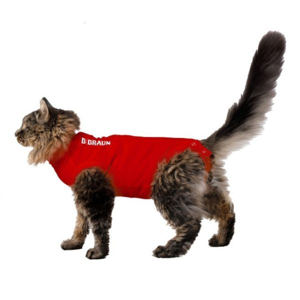Camiseta protectora postoperatoria para gatos