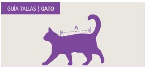 camiseta quirurgica gato esterilizado operado medida